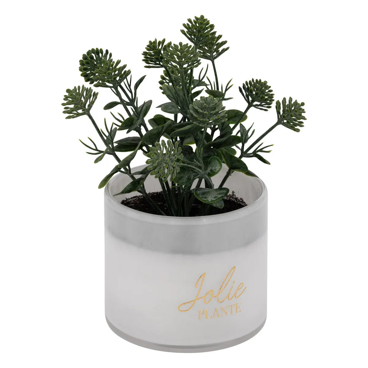 atmosphera Tayli Succulent műnövény, 18 cm, vegyes változatok