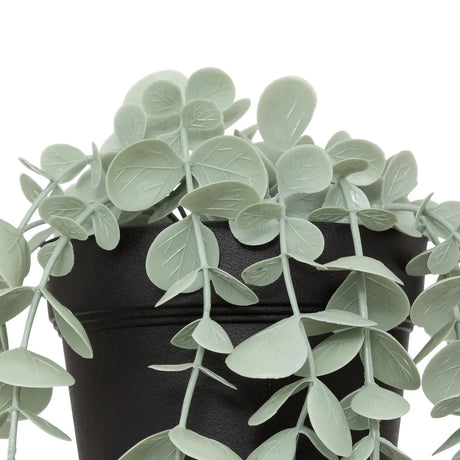 Изкуствено растение atmosphera Merly Eucalyptus, 51 cm, Различни видове