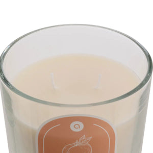 Ароматна свещ atmosphera Floa, Стъкло, 350 g