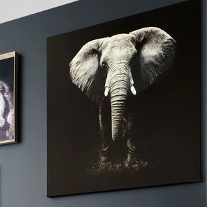 Falikép Atmosphera Elephant, vászonnyomat 100x100 cm