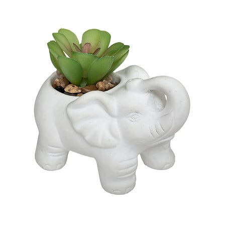 Изкуствено растение atmosphera Buddha, 10см, Различни видове