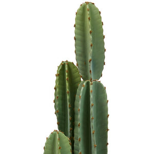 Изкуствено растение atmosphera Sien Cactus, 132 cm