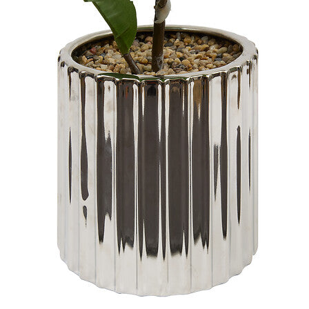 atmosphera Ficus Sky műnövény, 54 cm