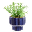 Nippon 218939